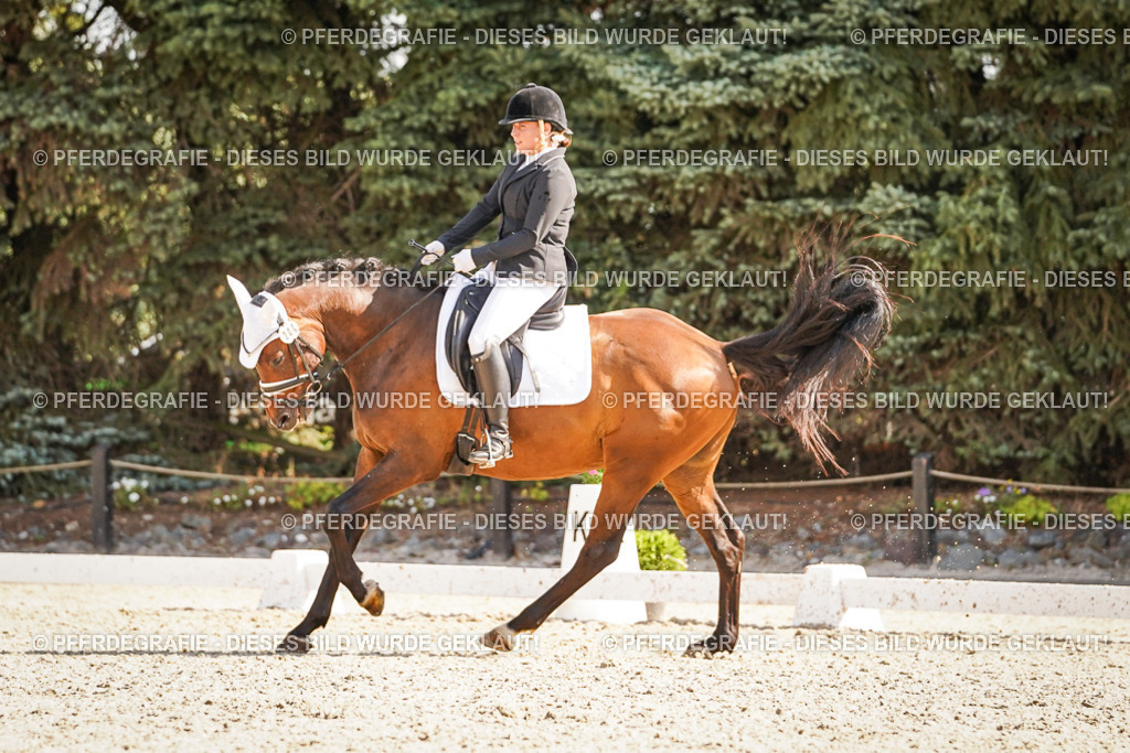 DSC00400 | Pferdegrafie