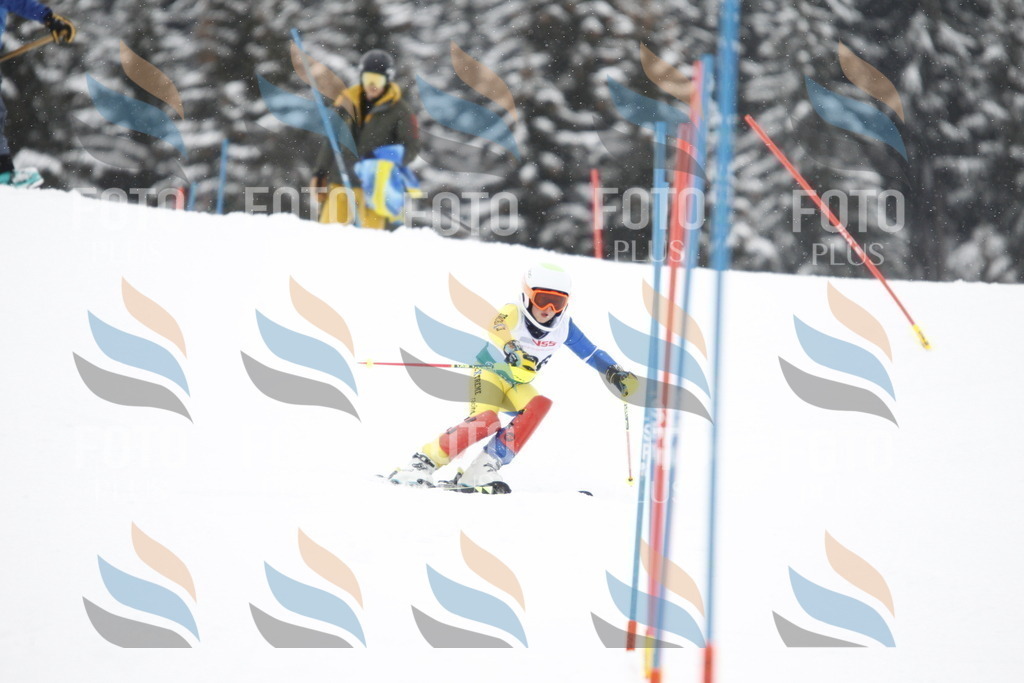 A2036 | holidayphoto