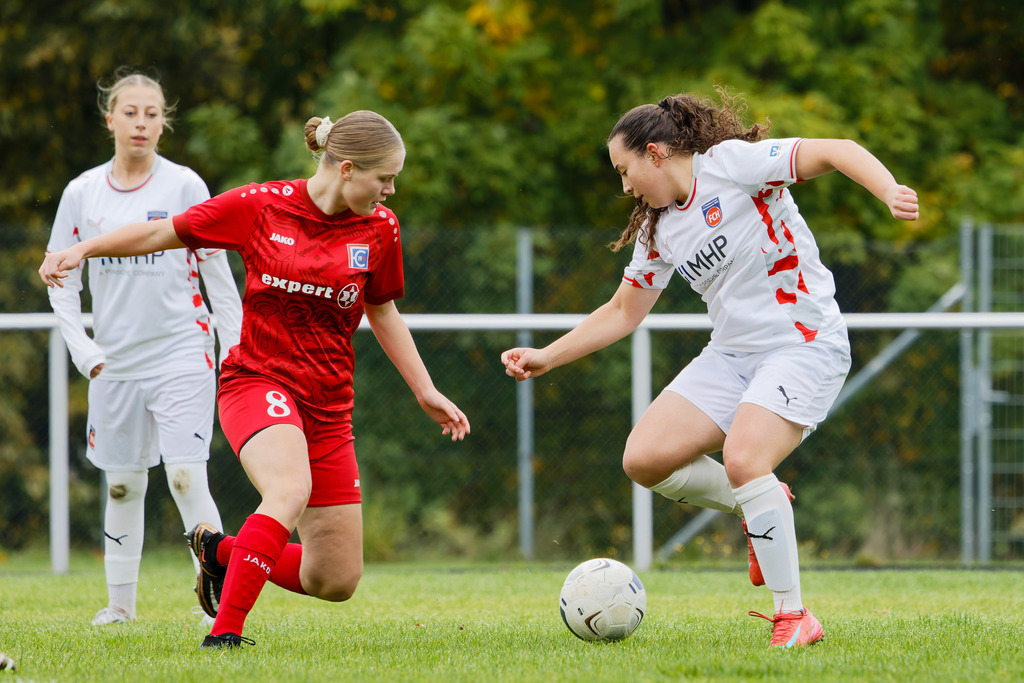 FCEFCH_251012_0740 | Fotopresso – Sportfotografie in Heidenheim & Umgebung. Professionelle Sportfotografie für unvergessliche Momente. Dynamische Action-Shots, emotionale Szenen & hochwertige Bilder. - Realisiert mit Pictrs.com