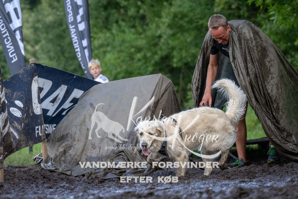 1655_ZZ90377 | kk-dogfotos