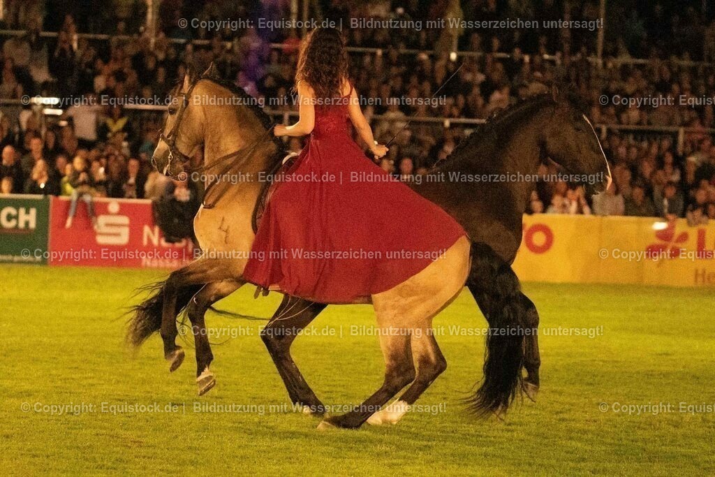 20230526_Pferdenacht_1428 | equistock