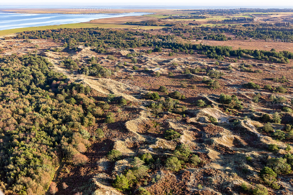 Aerial view: Wadden Sea National Park in Fanø in the state South Denmark, Denmark.Photo: IMG_118877.jpg taken on 09/21/2019 by Werner Riehm/FLY-FOTO.comResolution of the original: 5472 x 3648 px
