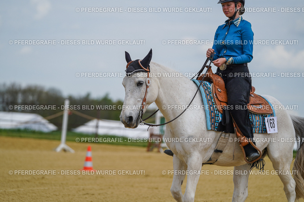 DSC05547 | Pferdegrafie