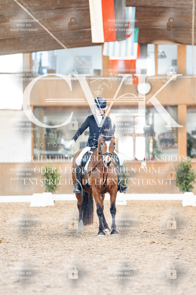 CK907821 | Turnierfotografie Pferdefotografie Trier Rheinland-Pfalz Pferdesport Reitsport Tierfotografie Sportfotografie Pferdevideo Pferdevideografie Equestrianvideography equestrianphotography  - Realized with Pictrs.com