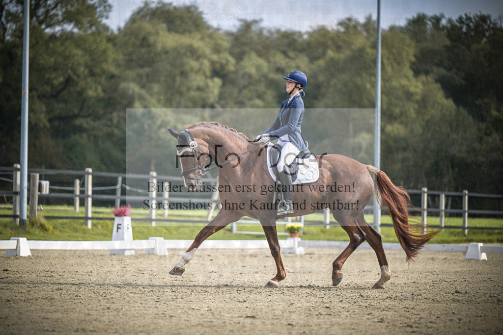 DOS_B636 | Entdecke hochwertige Reitturnierfotos von Foto Oger. Professionell, emotional und authentisch – jetzt Lieblingsmomente im Shop bestellen.Deutschlandweite Turnierfotografie. - Realisiert mit Pictrs.com