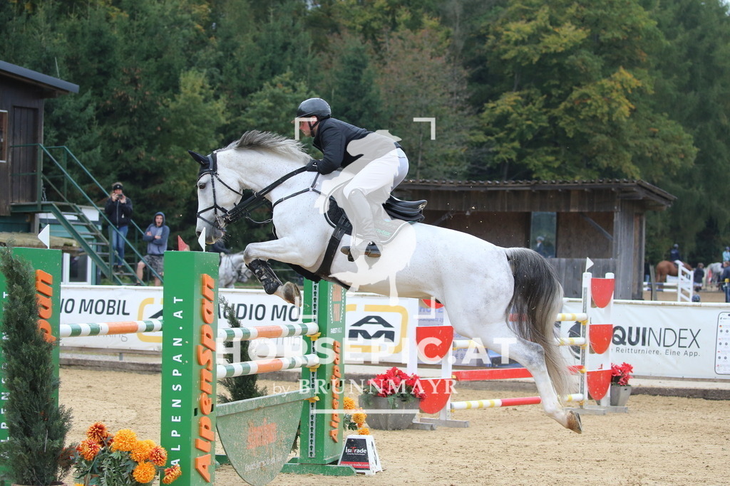 DL2Q3090 | Willkommen bei Brunnmayr - Design & Fotografie – Ihrem Spezialisten für Reitturniere und Pferdeveranstaltungen in Oberösterreich, Salzburg und Bayern! Seit über 17 Jahren sind wir leidenschaftlich dabei.