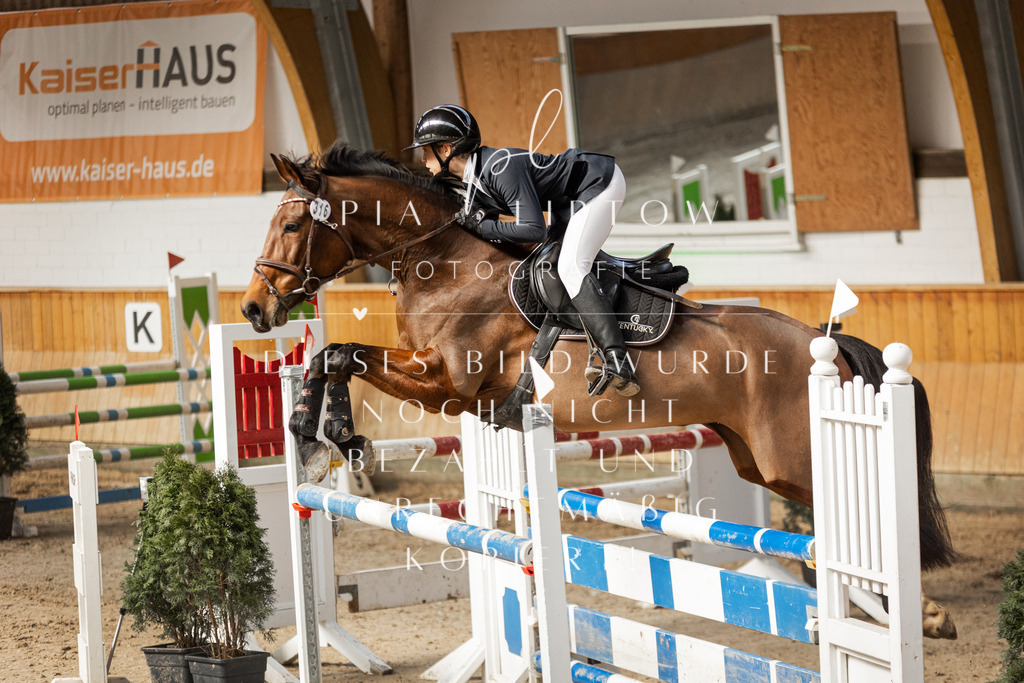 IMGT0123 | pl-fotografie