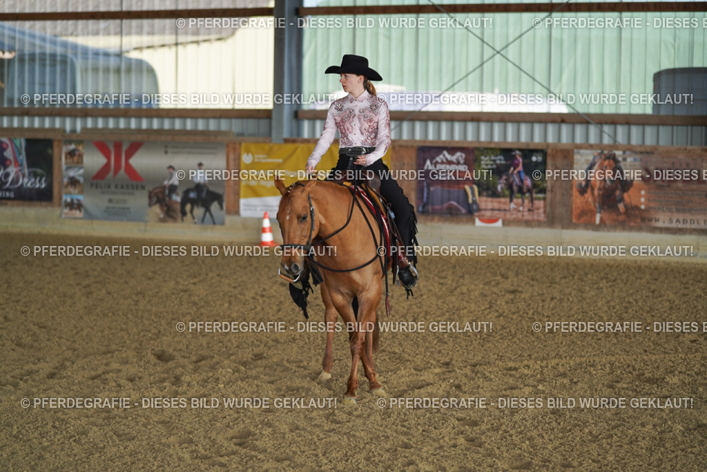 DSC08452 | Pferdegrafie