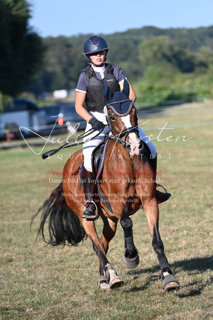 DSC_9100 | Pferde- und Turnierfotografie in Westsachsen. Pferdeportraits, Auftragszeichnungen und intuitive Kunst.