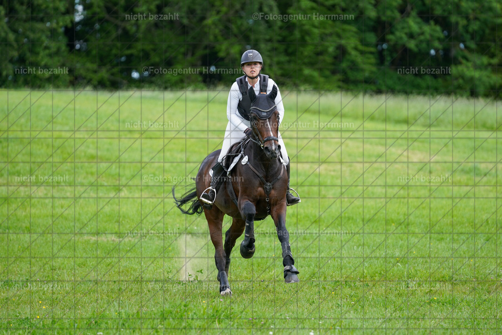 20240518-FAH04223 | Turnierbilder von Niederseon, Turnierfotografen Bayern, Fotoagentur Herrmann, Geländebilder, Reitsportfotografie