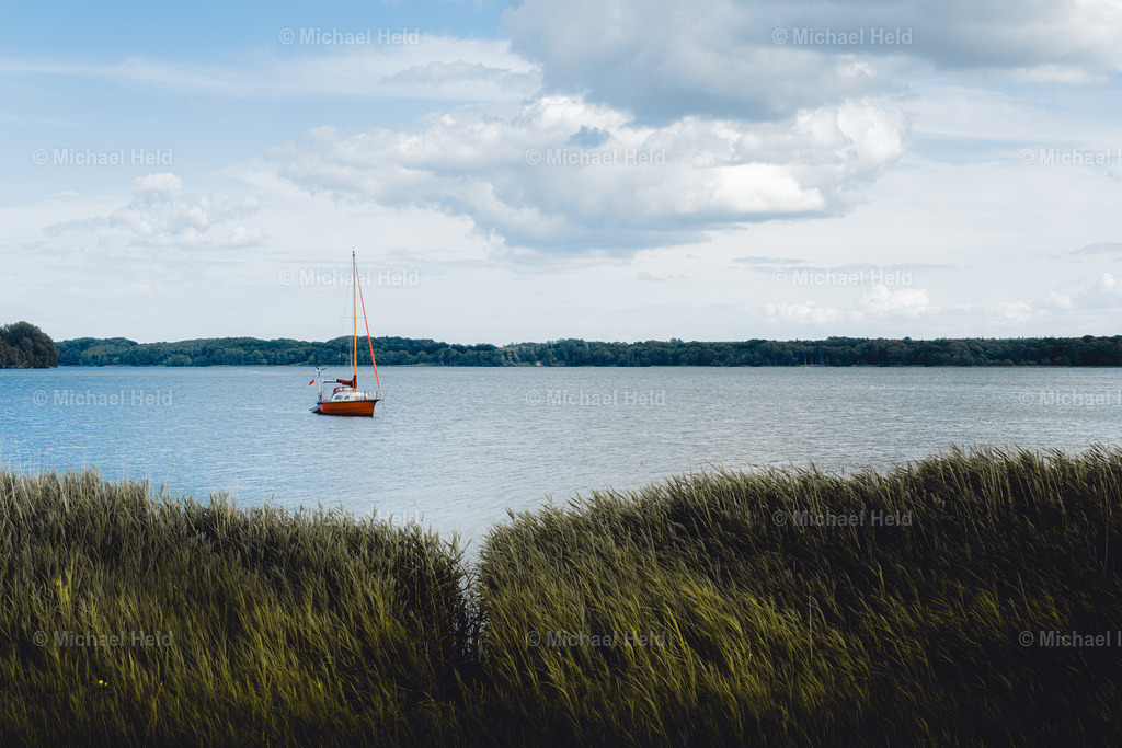 An der Schlei | Profi-Fotos über Schleswig-Holstein und dem ganzen Norden für Büro, Hotel, Ferienhaus, Ferienwohnung, Wohnzimmer, Arztpraxis uvm. jetzt bestellen. - Realisiert mit Pictrs.com