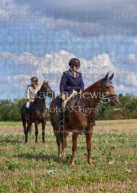 08-23 Bredeneek Jagd_MCH9243_Marina Hewig | Fotografie, FotoArt, PferdesportArt, Pferdesportfotografie, Landschaftsfotografie, Reisefotografie, Reise, Pferde - Realisiert mit Pictrs.com