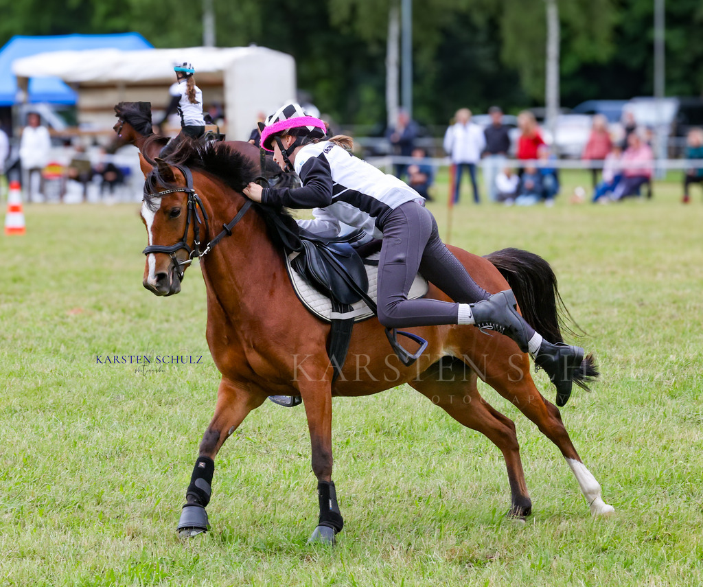1B3A1655 | Reitsport Reiten