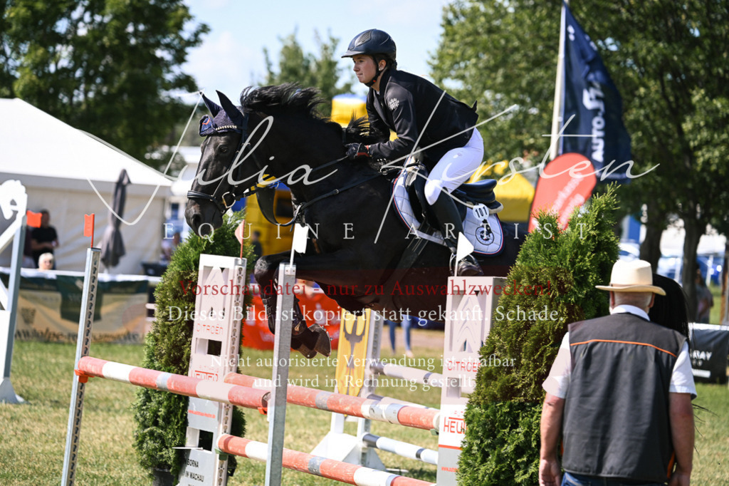 DSC_0501 | Pferde- und Turnierfotografie in Westsachsen. Pferdeportraits, Auftragszeichnungen und intuitive Kunst.