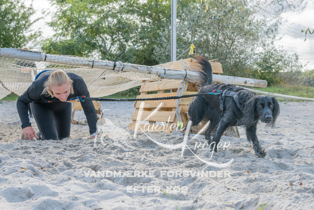 1244_ZZ93064 | kk-dogfotos