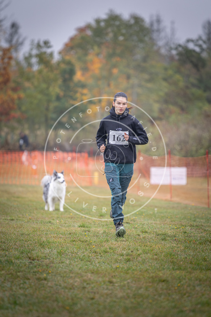 Pfotenfotografie_DV3A8831 | Hundefotografie, Tierfotograf, Pfotenfotografie, Fotoshooting Hund, Hunde Portrait, Hundesport, Hundeportraits, Heideshooting, Hunde, Sportfotograf, Hundefotograf, Turnierhundsport, THS,  - Realisiert mit Pictrs.com