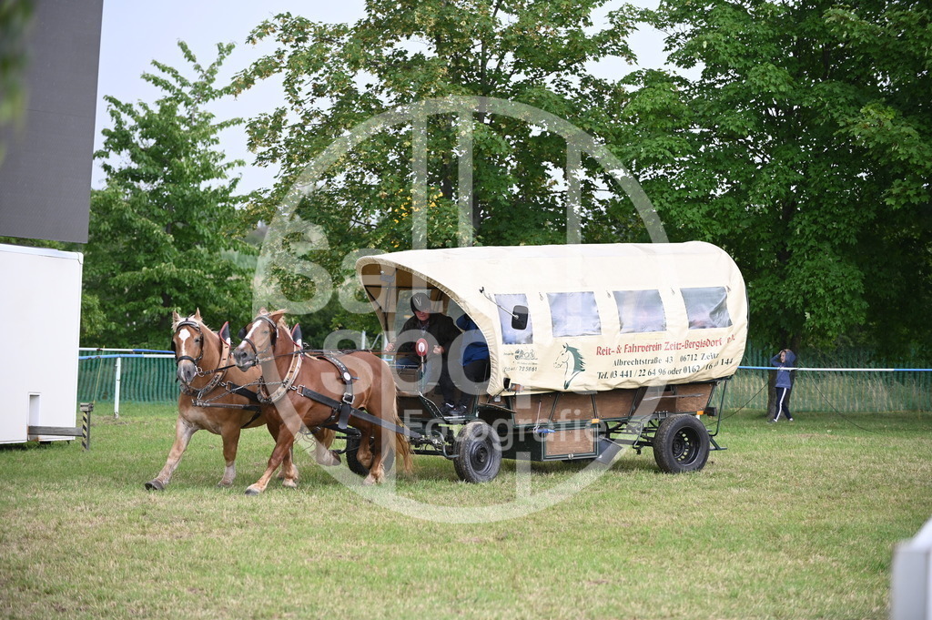 DSC_8715 | sattelsport - Realisiert mit Pictrs.com