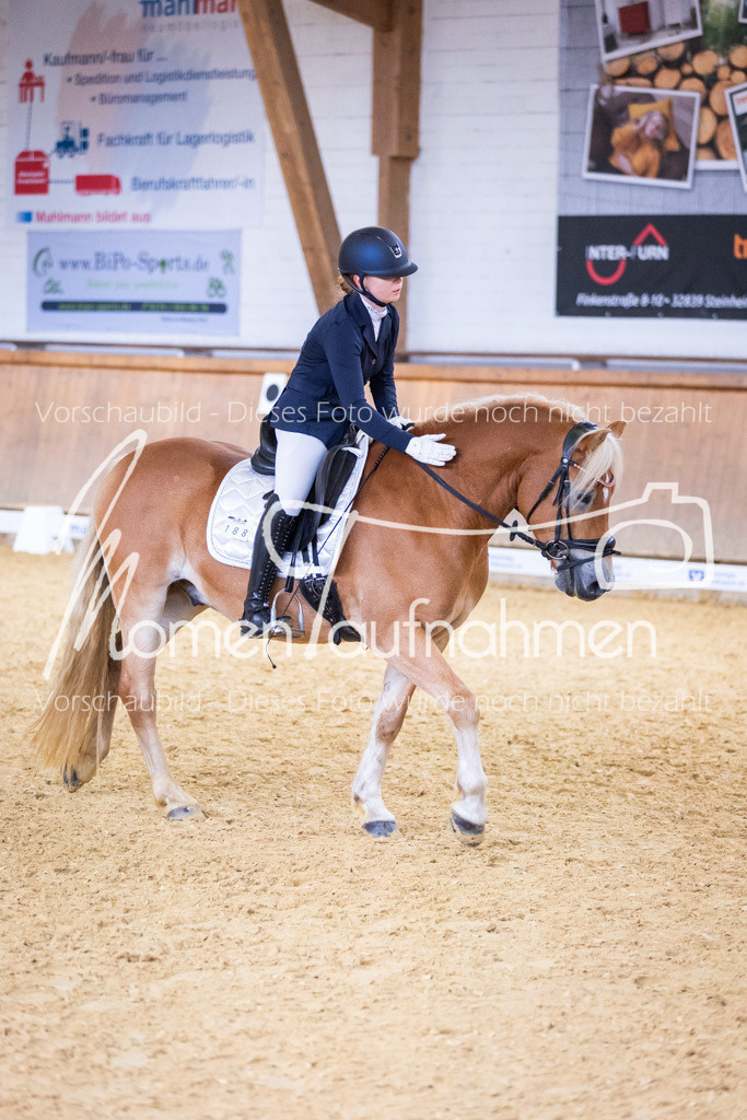Sth-A-Dre-2St-036 | MomenTaufnahmen Pferdesportfotos