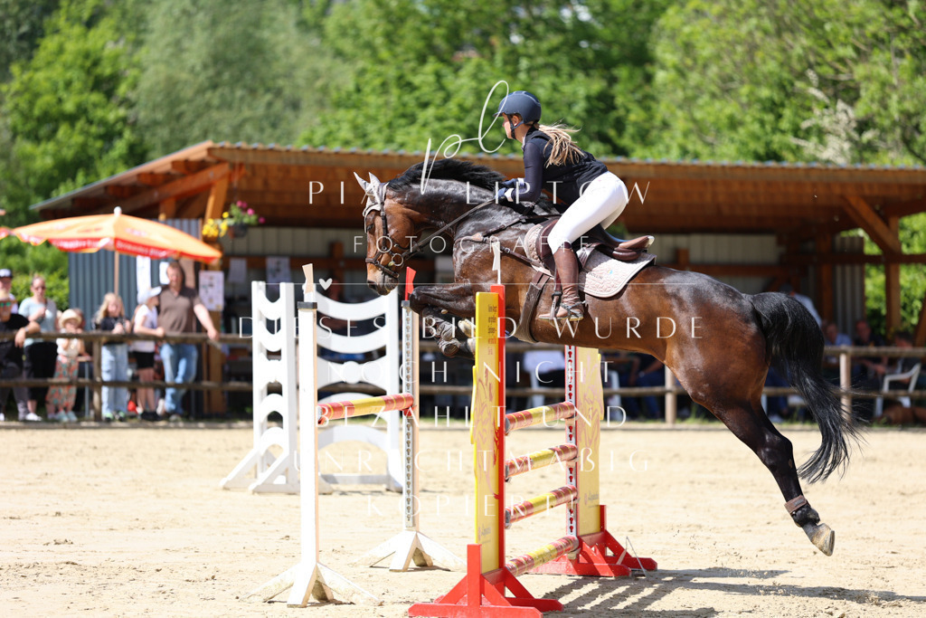 IMGS8867 | pl-fotografie