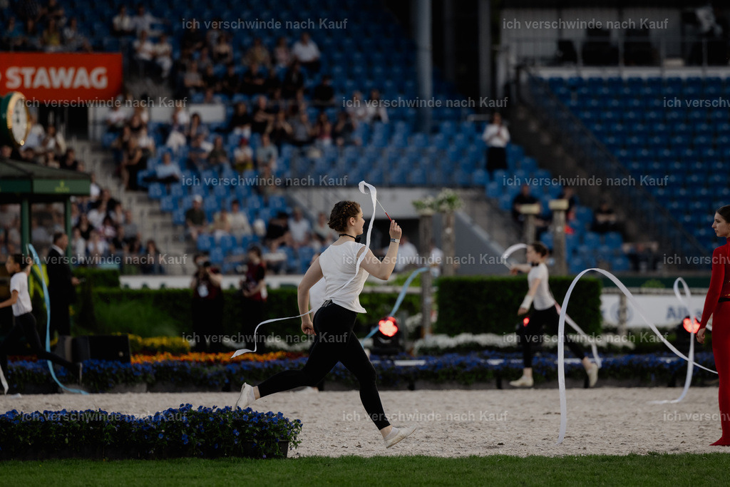 TSCHIO26_PferdundSinfonie_StoibphotographyTSCHIO26_Pferd-Sinfonie_Stoibphotography_AM10888.CR3.jpg | working equitationturnier fotograf videograf stoibphotography marixx film working equitation deutschland reitsport turnierfotografie eventfotografie equestrian events