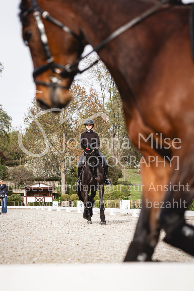 260410_Kronberg_Training-103 | Deine schönsten Turniermomente als professionelle Fotos! Entdecke hochwertige Pferdesport-Fotografie im Online-Shop. Jetzt Fotos finden & bestellen!