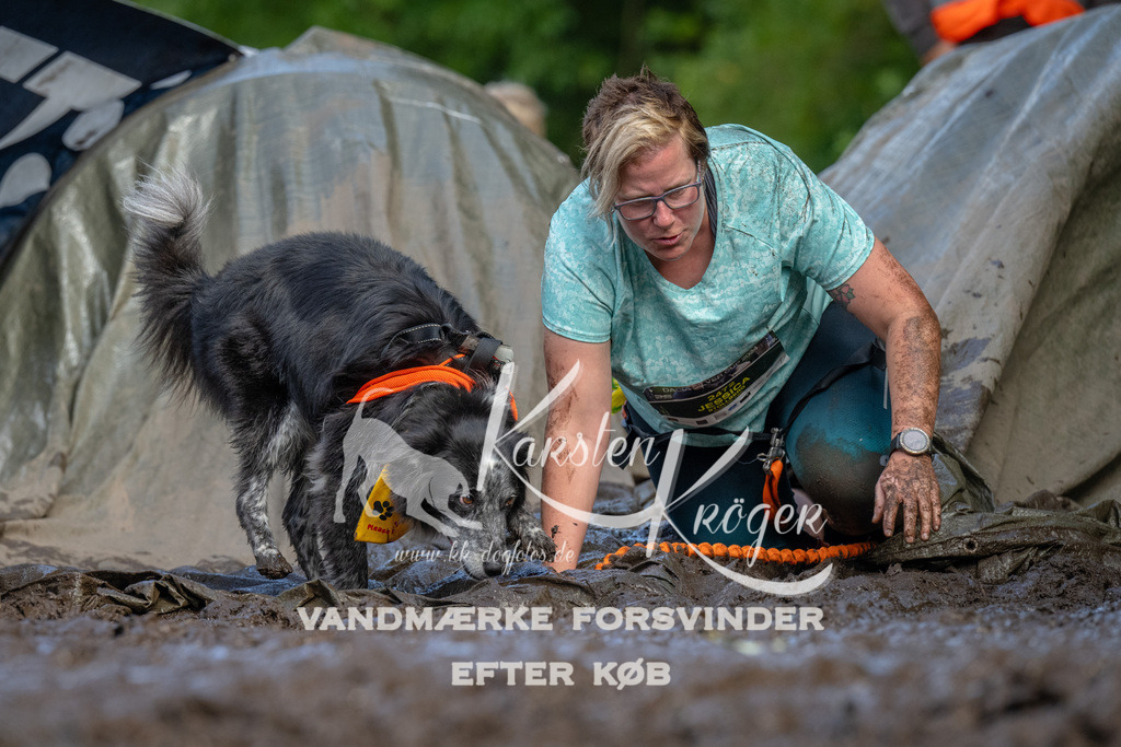 1717_ZZ91909 | kk-dogfotos