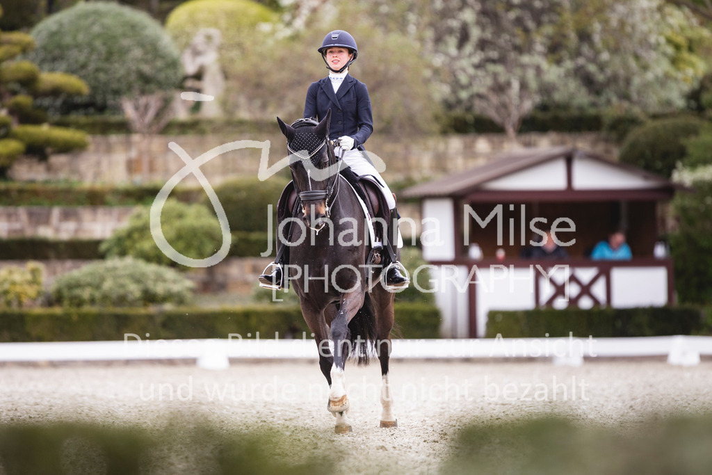 260412_Kronberg_S-Dressur-616 | Deine schönsten Turniermomente als professionelle Fotos! Entdecke hochwertige Pferdesport-Fotografie im Online-Shop. Jetzt Fotos finden & bestellen!
