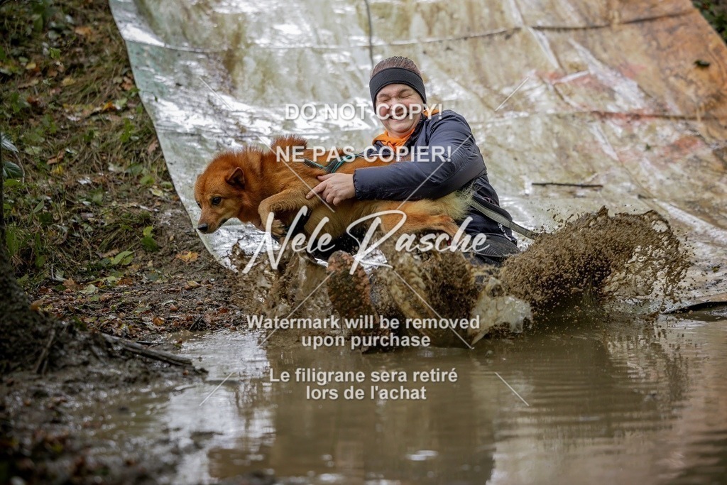 nelerasche_Hunsrück_Sa1430-1500_238-final | nelerasche