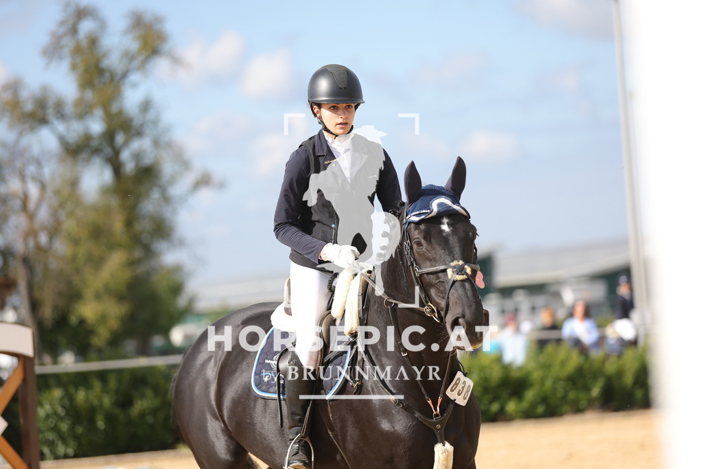 0P6A8570 | Willkommen bei Brunnmayr - Design & Fotografie – Ihrem Spezialisten für Reitturniere und Pferdeveranstaltungen in Oberösterreich, Salzburg und Bayern! Seit über 17 Jahren sind wir leidenschaftlich dabei.