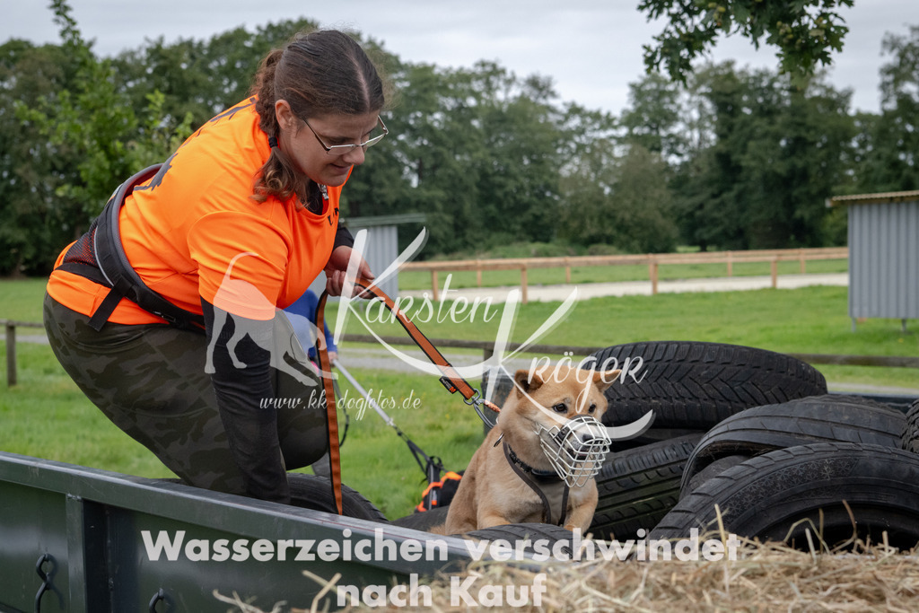 1228_ZZ90716 | kk-dogfotos
