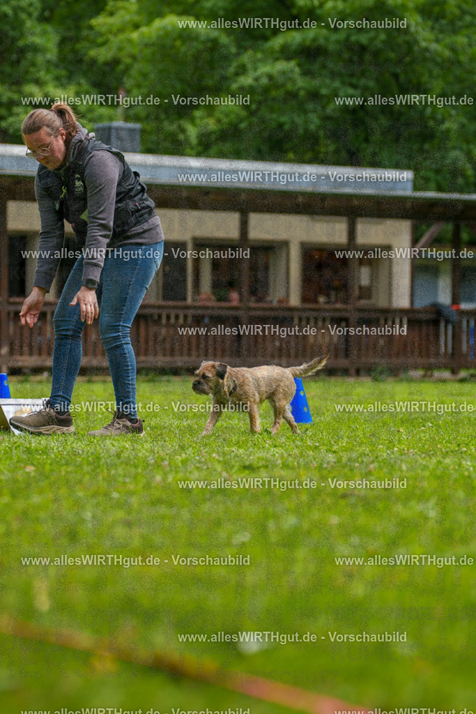 @allesWIRTHgut_Tierfotografie - www.allesWIRTHgut.de - 7R501963 | Professionelle Tierfotografie in Mönchengladbach von Daniel Wirth (allesWIRTHgut). Liebevolle & natürliche Bilder von Hunden & Katzen für unvergessliche Erinnerungen.