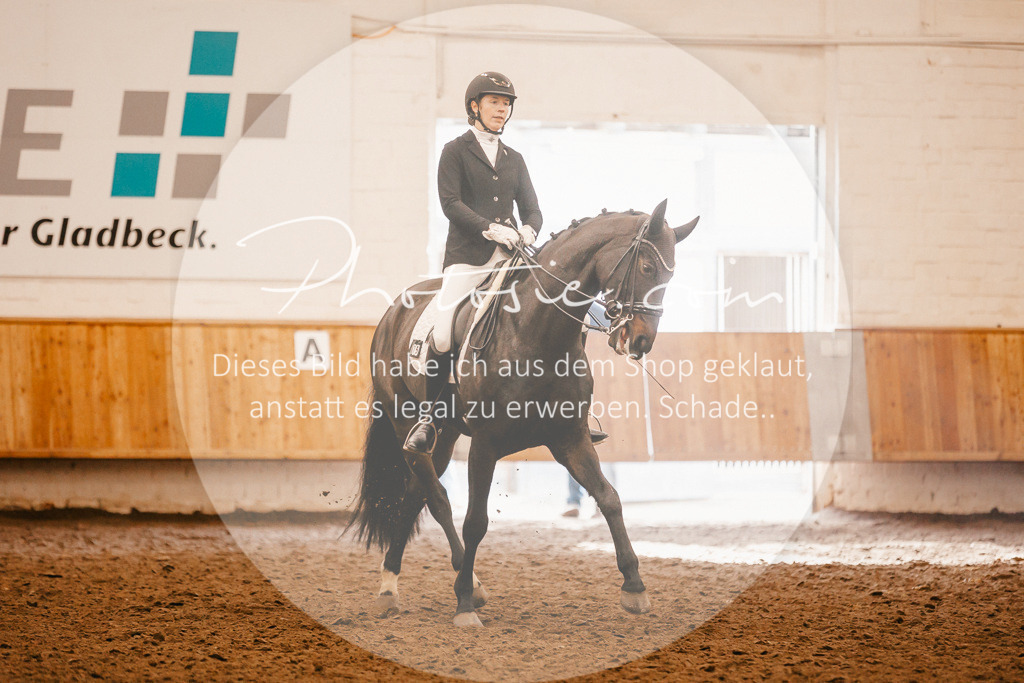 3I6A2393 | Stimmungsvolle Portraits und Reitsportfotografie im Ruhrgebiet und im Münsterland.

Pferdefotografie, Hundefotografie, Tierfotografie, Reportagen, Portraits von Tier und Mensch, Turnierfotografie in Bochum, Recklinghausen, Marl, Haltern am See, Dülmen.. - Realisiert mit Pictrs.com