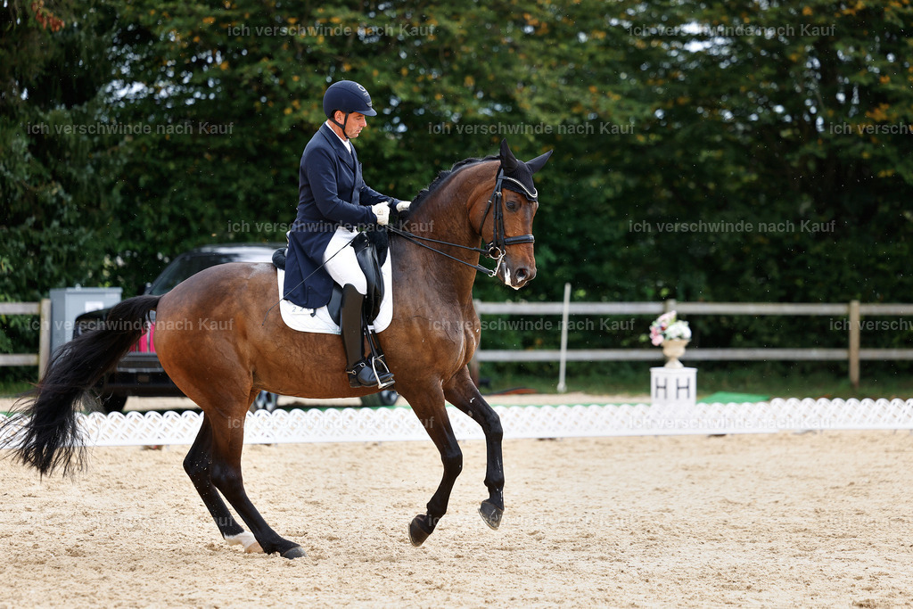 11-226-Dressur S___-StoibPH-1022 | working equitationturnier fotograf videograf stoibphotography marixx film working equitation deutschland reitsport turnierfotografie eventfotografie equestrian events