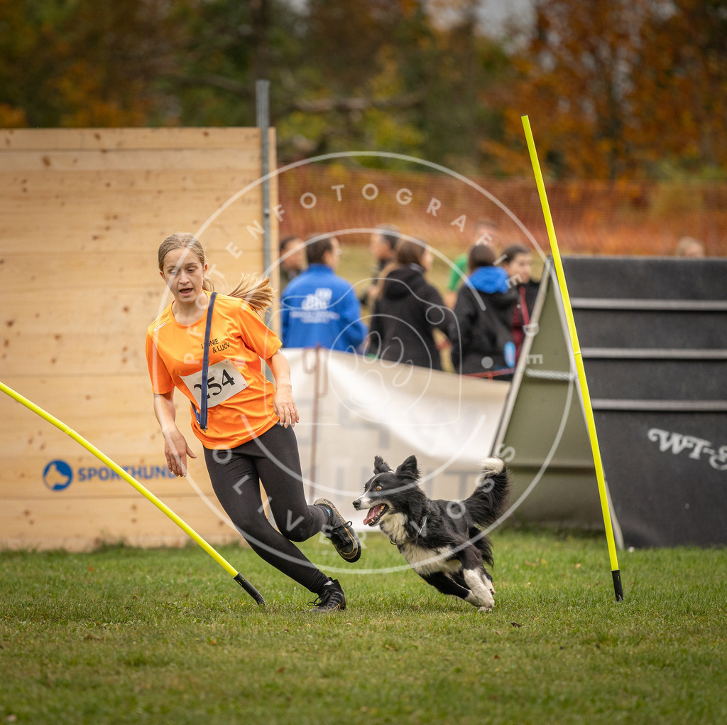 Pfotenfotografie_DV3A6213 | Hundefotografie, Tierfotograf, Pfotenfotografie, Fotoshooting Hund, Hunde Portrait, Hundesport, Hundeportraits, Heideshooting, Hunde, Sportfotograf, Hundefotograf, Turnierhundsport, THS,  - Realisiert mit Pictrs.com