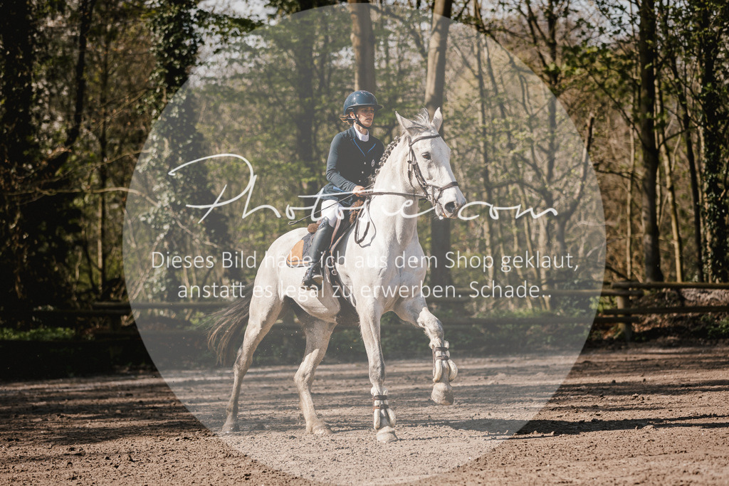 3I6A4048 | Stimmungsvolle Portraits und Reitsportfotografie im Ruhrgebiet und im Münsterland.

Pferdefotografie, Hundefotografie, Tierfotografie, Reportagen, Portraits von Tier und Mensch, Turnierfotografie in Bochum, Recklinghausen, Marl, Haltern am See, Dülmen.. - Realisiert mit Pictrs.com