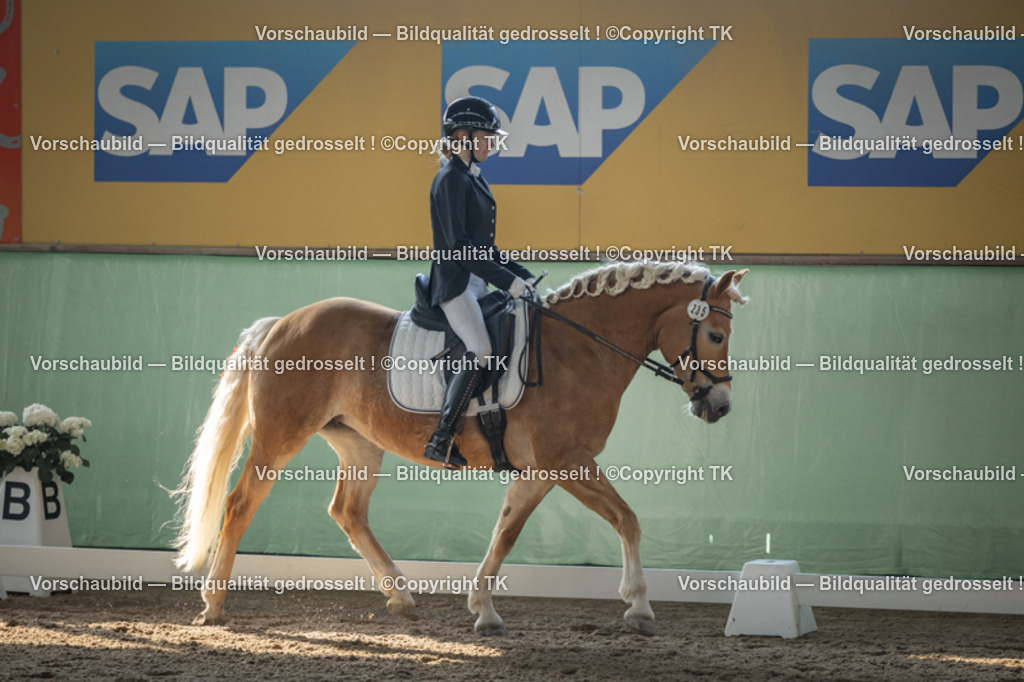 _D5A8291 | Emotionale Pferde- & People-Fotografie rund um Heidelberg, Leimen & Umgebung. Natürliche Fotos von Pferd, Mensch & Familie. Jetzt Termin sichern!