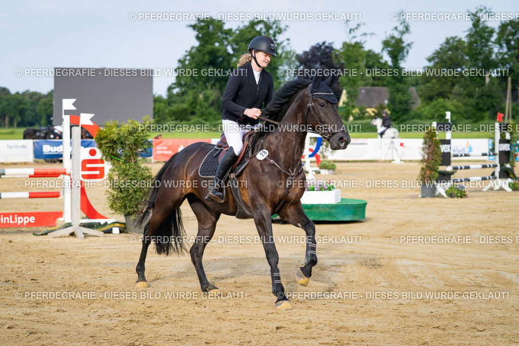 DSC02472 | Pferdegrafie