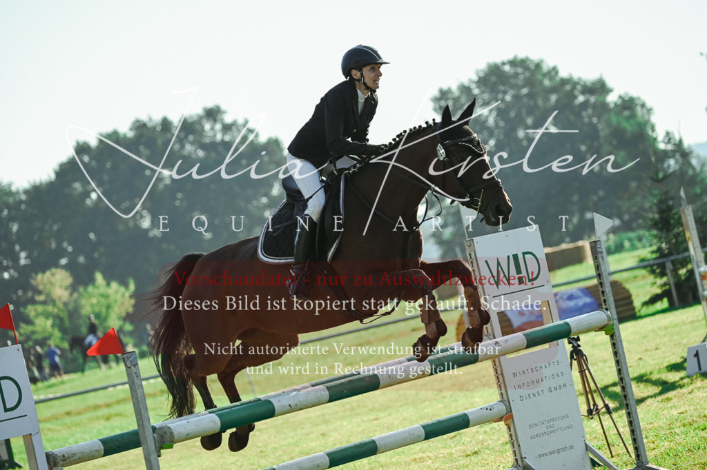 DSC_4419 | Pferde- und Turnierfotografie in Westsachsen. Pferdeportraits, Auftragszeichnungen und intuitive Kunst.