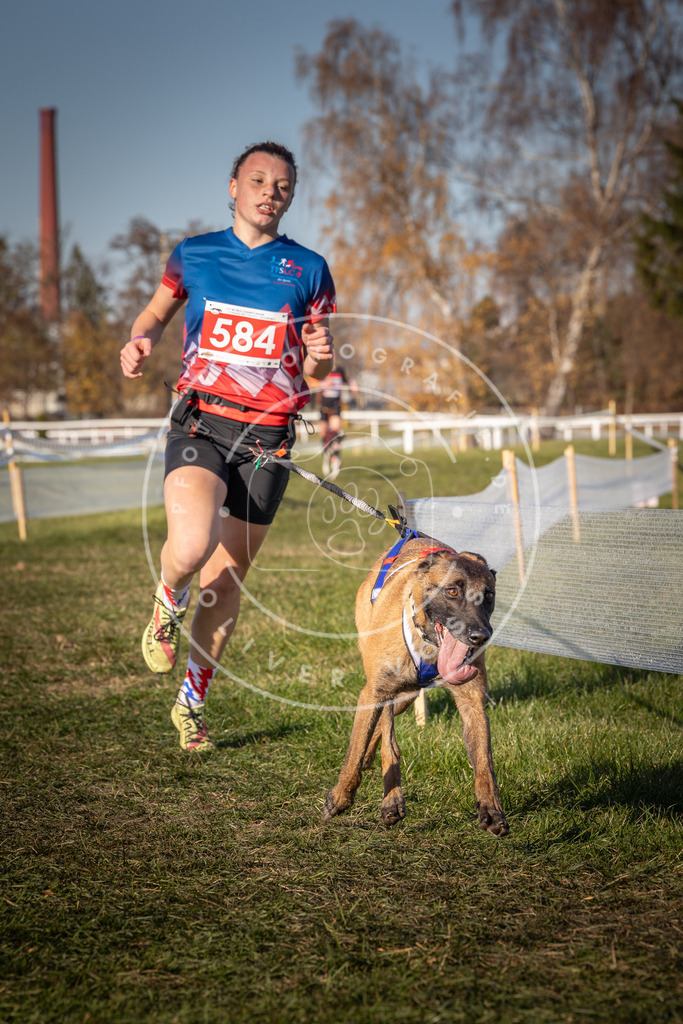CaniXpix_0L8A8298 | Hundefotografie, Tierfotograf, Pfotenfotografie, Fotoshooting Hund, Hunde Portrait, Hundesport, Hundeportraits, Heideshooting, Hunde, Sportfotograf, Hundefotograf, Turnierhundsport, THS,  - Realisiert mit Pictrs.com