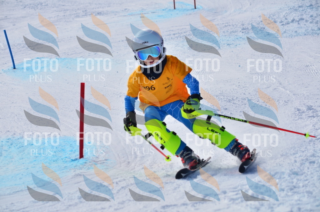 C8730 | holidayphoto