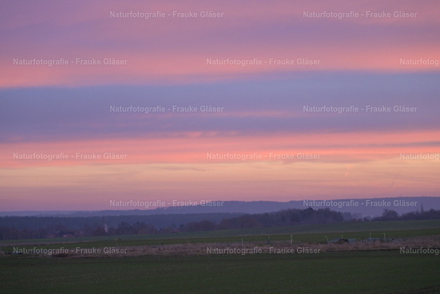 November | Naturfotografie Frauke Gläser - Realisiert mit Pictrs.com