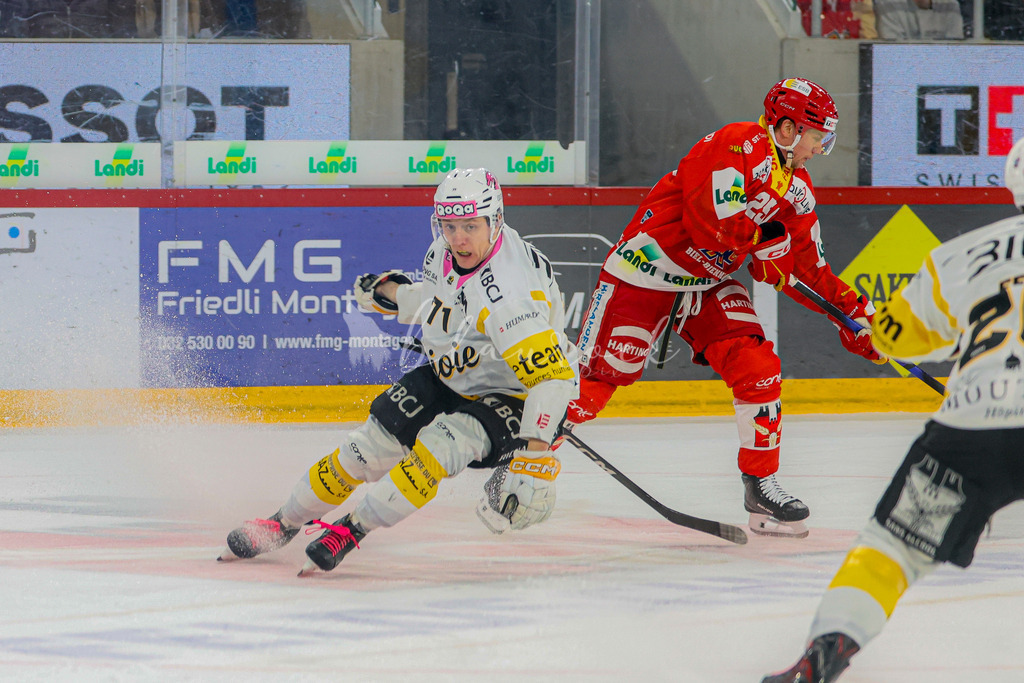 EHCB vs HCA 20260127_wb-9534 | Sportbilder, Sportfotograf, Hochzeits- und Eventfotografin, Flugshows, Portraits und Tiershooting, Aviation, Downhill, Nationalleague, Swissleague, International