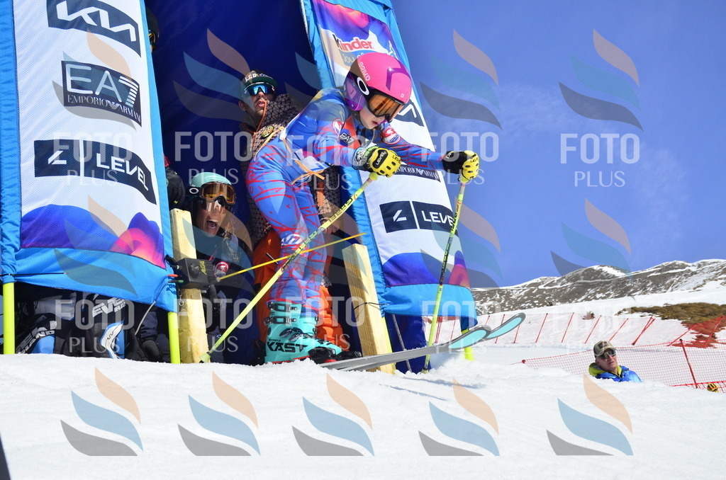 _ELE0369 | holidayphoto