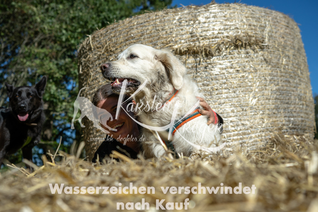 1207_ZZ90384-2 | kk-dogfotos