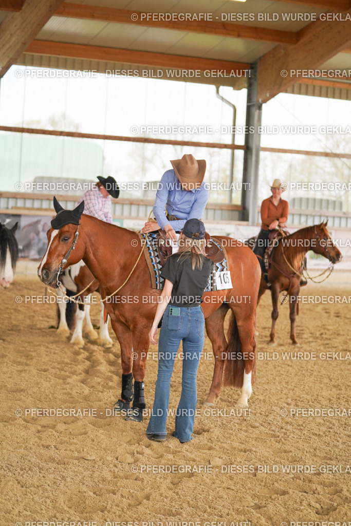 DSC03293 | Pferdegrafie