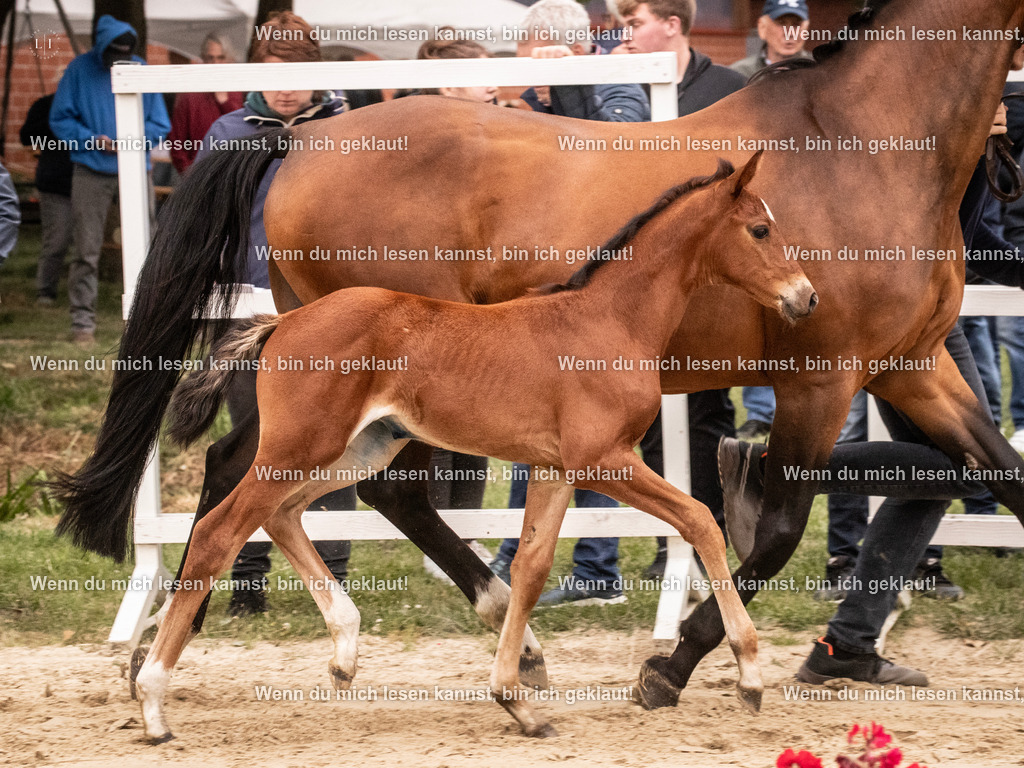 A10I4019 15.58.11 | photographylinaismer - Realisiert mit Pictrs.com