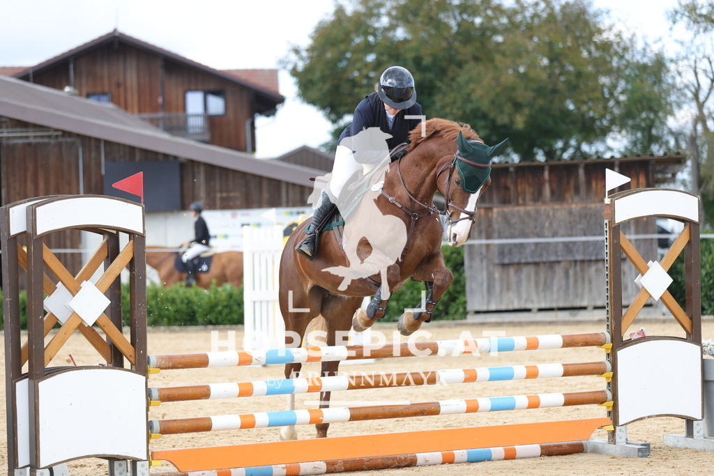 0P6A8666 | Willkommen bei Brunnmayr - Design & Fotografie – Ihrem Spezialisten für Reitturniere und Pferdeveranstaltungen in Oberösterreich, Salzburg und Bayern! Seit über 17 Jahren sind wir leidenschaftlich dabei.