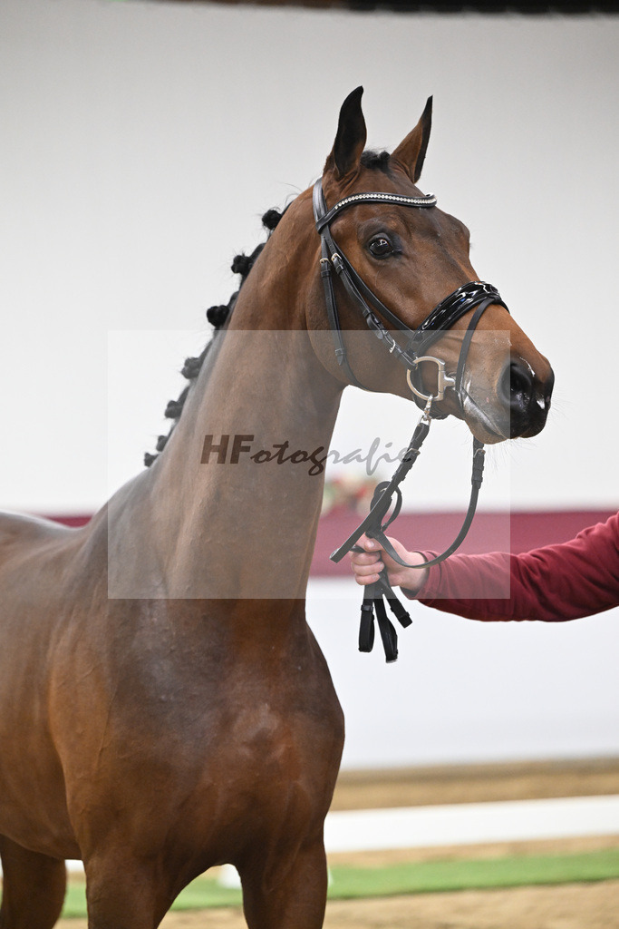 Kat-Nr. 43 Va Pensiero x Secret_Philipp Stuppert_47251506 | hf-fotografie - Realisiert mit Pictrs.com