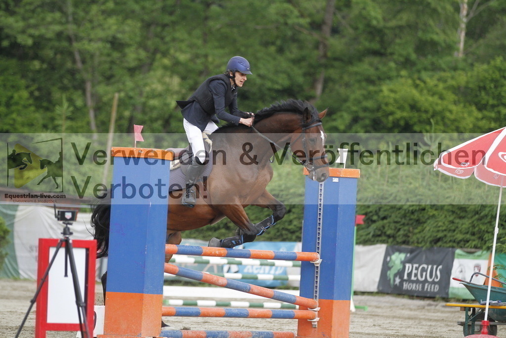 _MG_6577 | equestrian-live-com