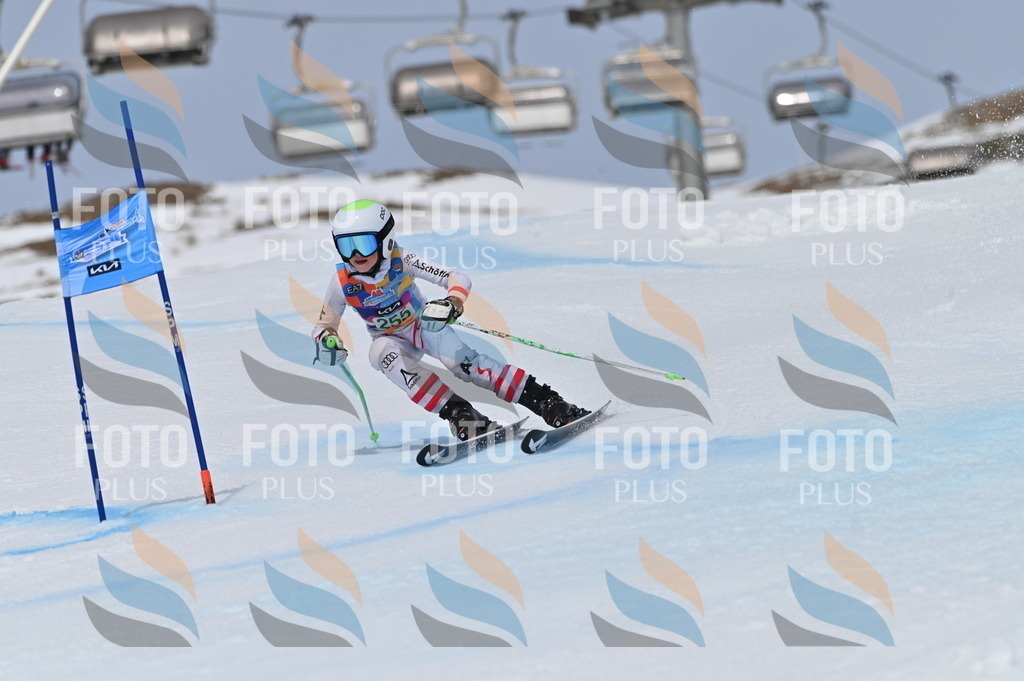 BGV_5057 | holidayphoto